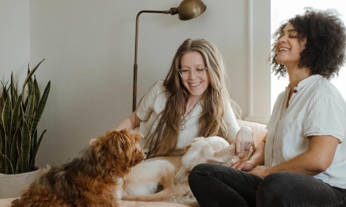 Bedroom options to fit every lifestyle people sitting on a couch with a dog